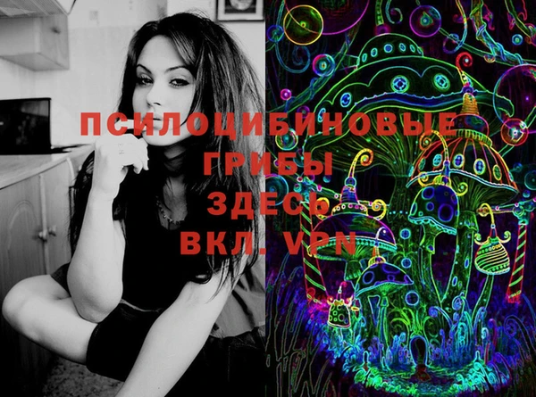 гашик Кинешма